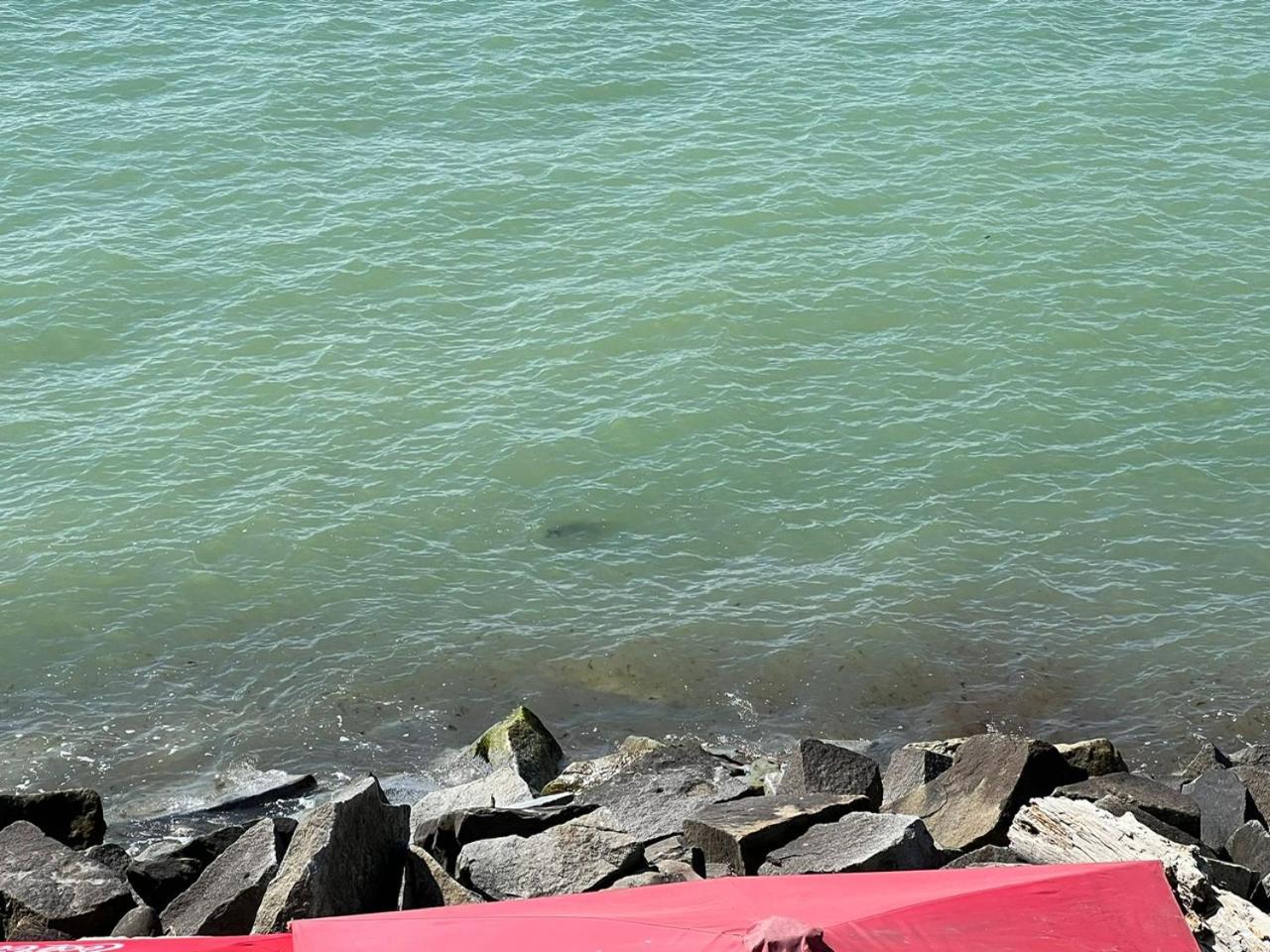Faehrblick - Pension Direkt Am Wasser Sassnitz Extérieur photo